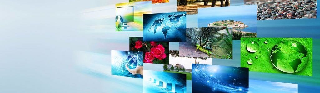 Affordable Website Design