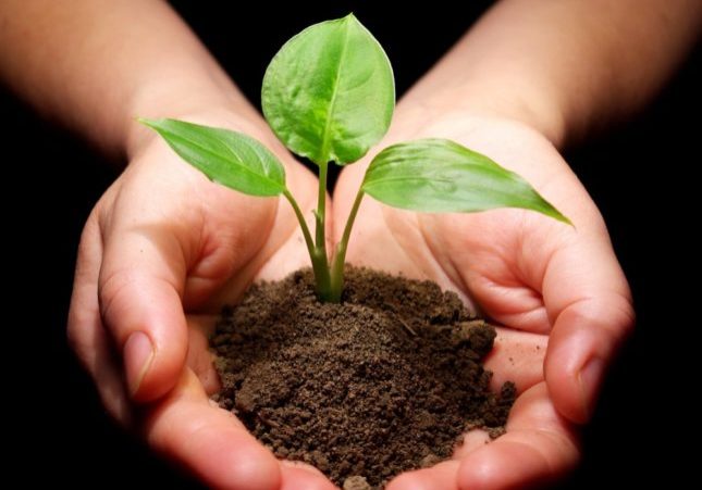 websites-for-start-ups